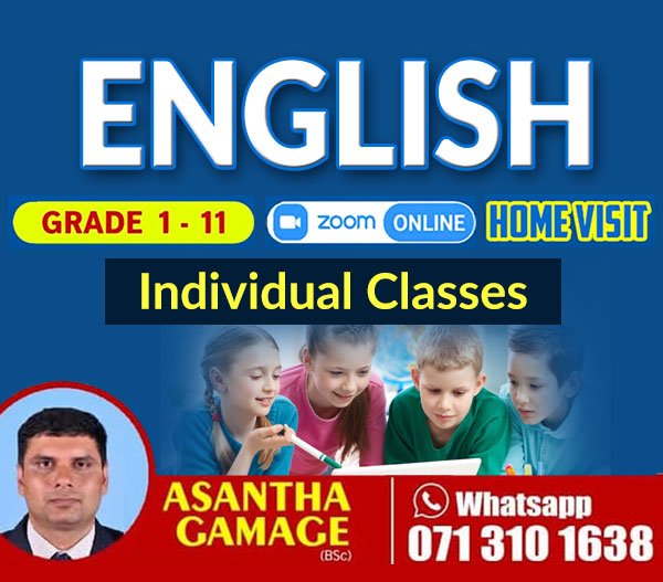 English home visit and online classes