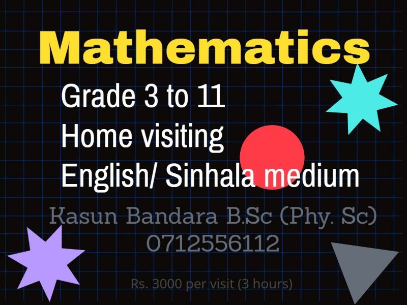 Home Visiting Mathematics Teacher