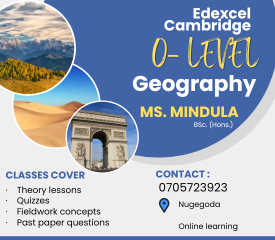 O Level GEOGRAPHY Tuition Classes for EDEXCEL and CAMBRIDGE Syllabus 