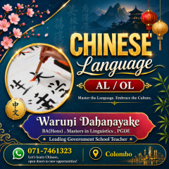 CHINESE LANGUAGE - CLASSES
