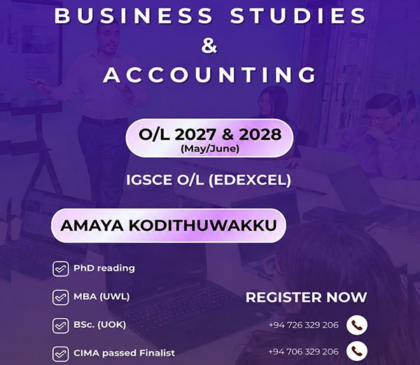 Ed-excel AL and OL Business studies and Accounting group and individual classes