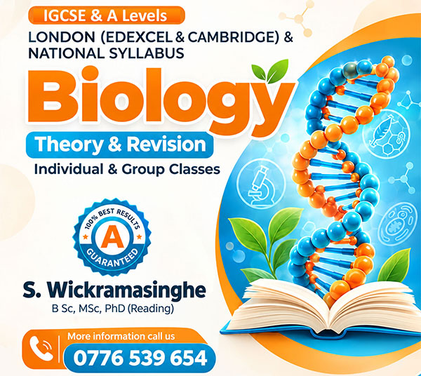 Biology Classes (English Medium) by a Lecturer (GCE A Level, Cambridge, Edexcel) Home visits Online Group