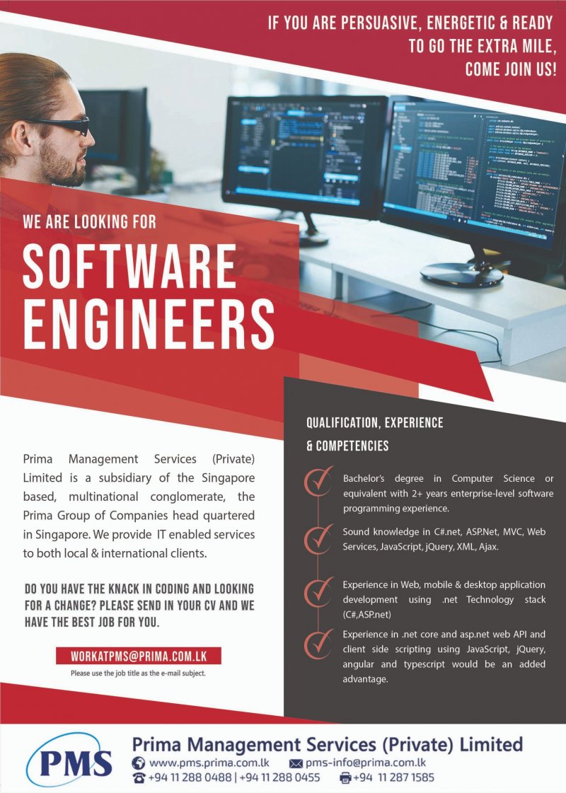 Software Engineers