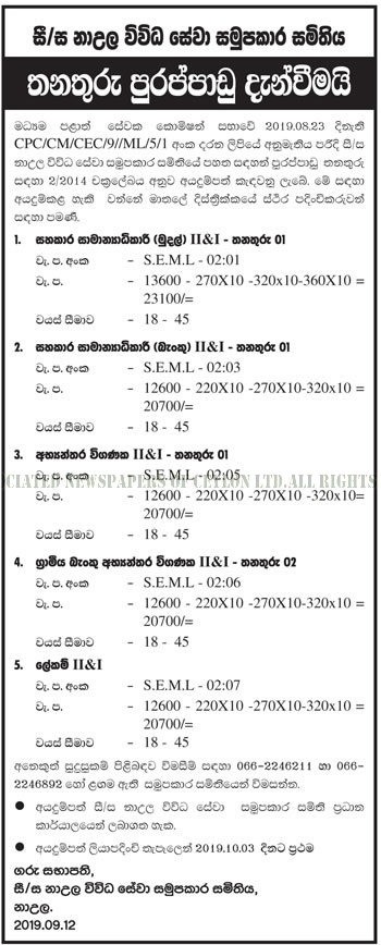 Assistant General Manager (Finance, Bank), Internal Auditor, Internal Auditor of Rural Bank, Secretary - Naula Multi Purpose Cooperative Society Ltd