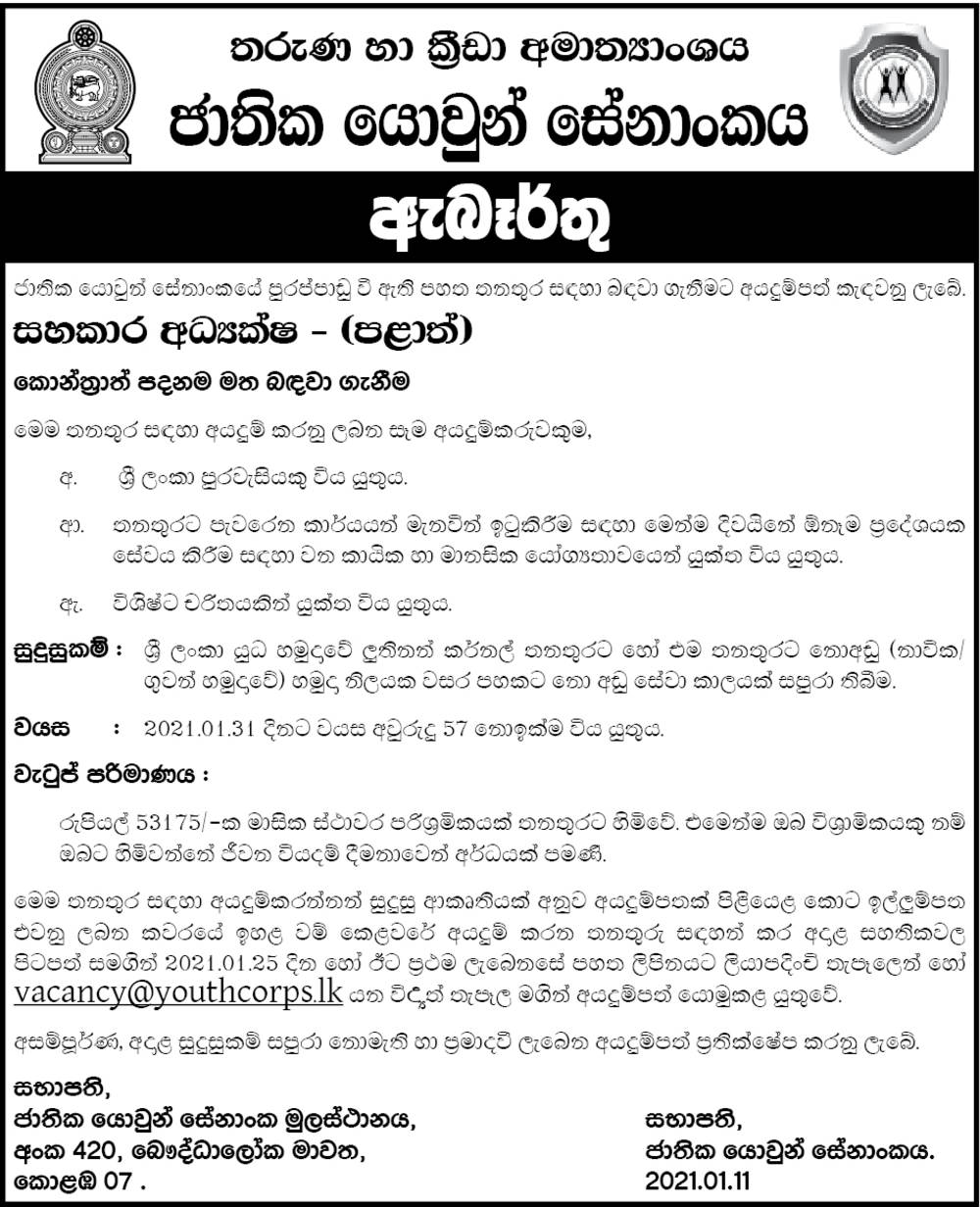 Assistant Director (Province) - National Youth Corps