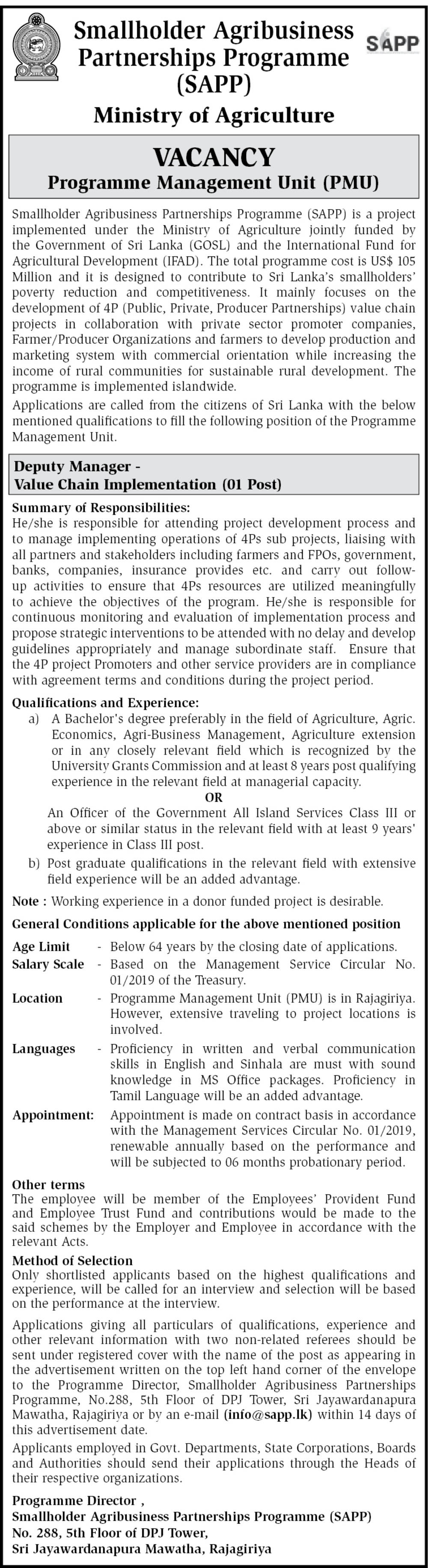 Deputy Manager (Value Chain Implementation) - Ministry of Agriculture