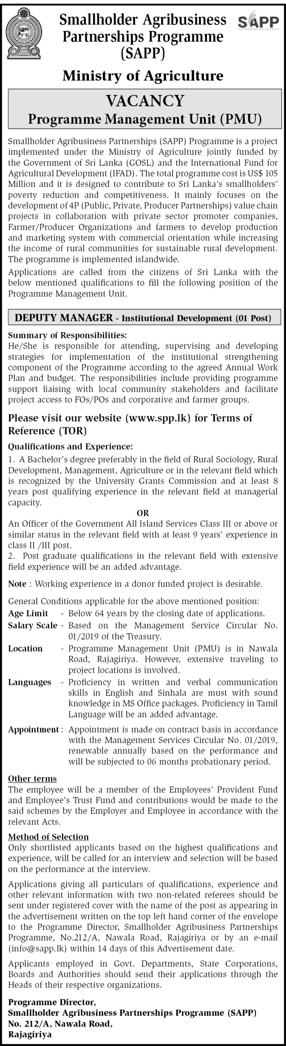 Deputy Manager (Institutional Development) - Ministry of Agriculture