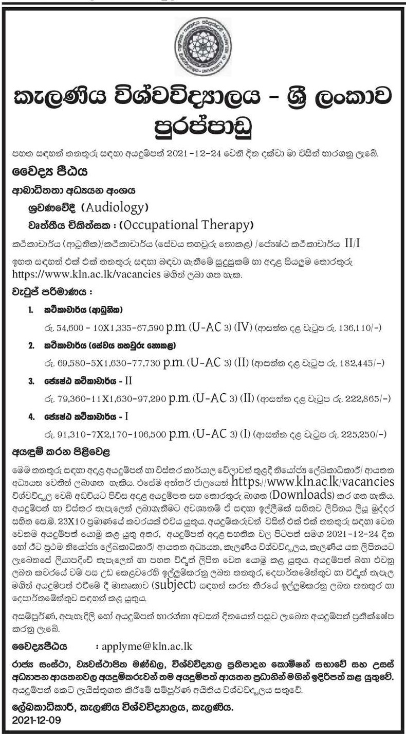 Lecturer, Senior Lecturer - University of Kelaniya