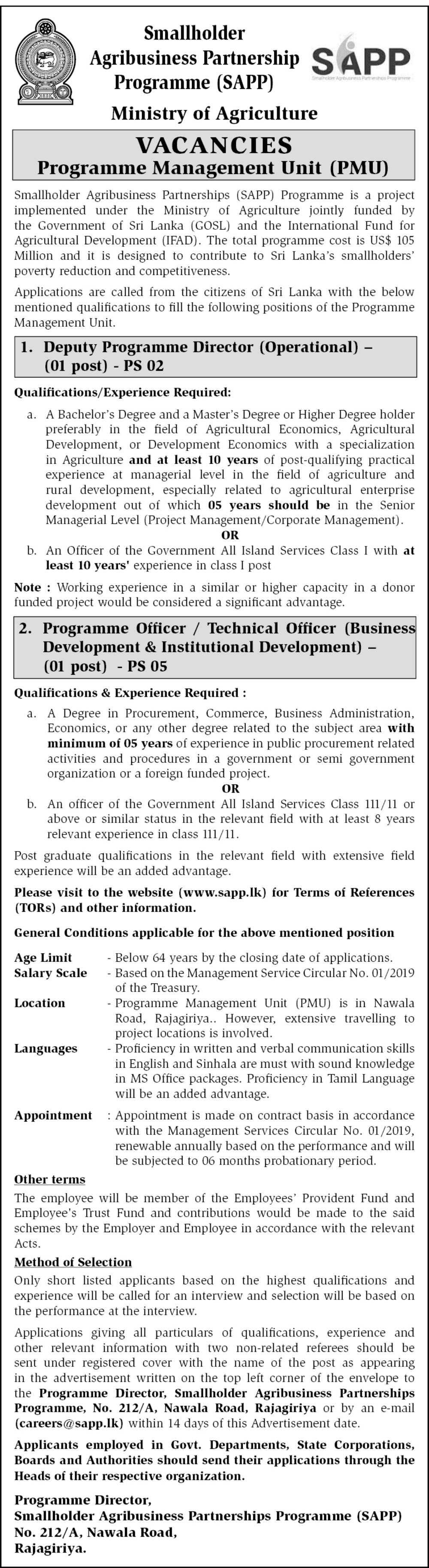 Deputy Programme Director (Operational), Programme Officer/Technical Officer (Business Development & Institutional Development) - Smallholder Agribusiness Partnerships Programme (SAPP) - Ministry of Agriculture