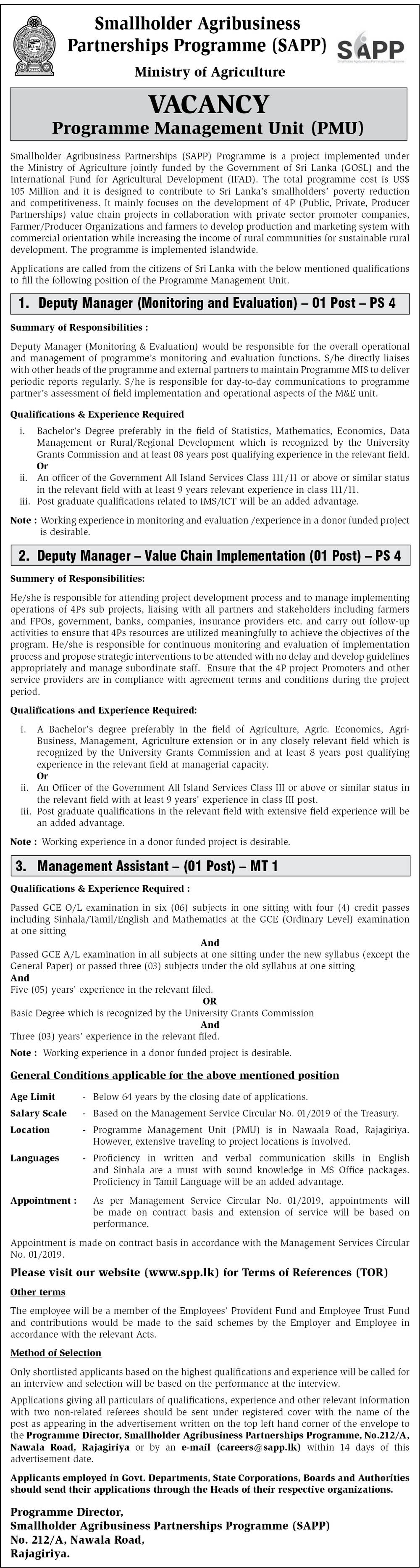 Management Assistant, Deputy Manager - Smallholder Agribusiness Partnerships Programme - Ministry of Agriculture