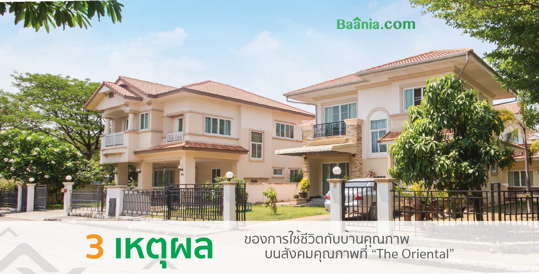 รีวิว, ภาพหลัก