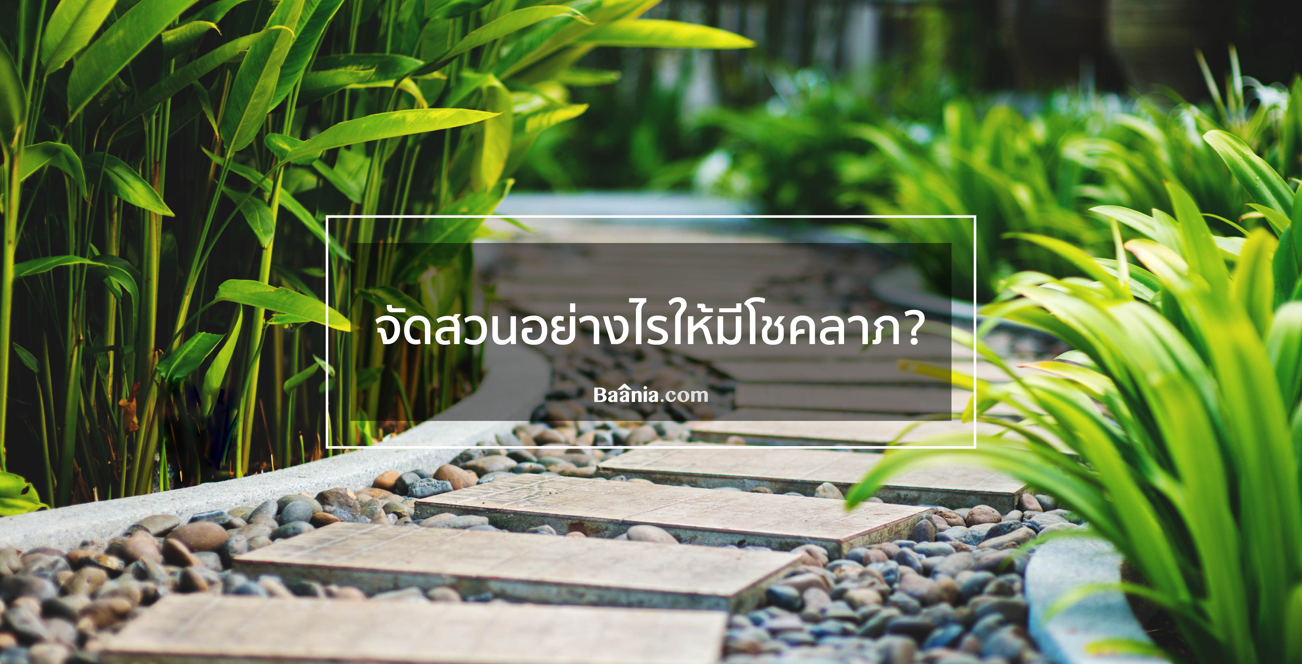 Living, ภาพหลัก