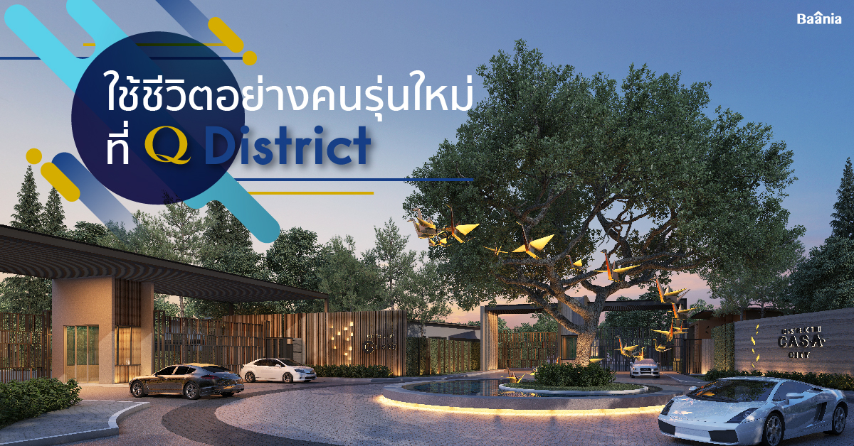 รีวิว, ภาพหลัก