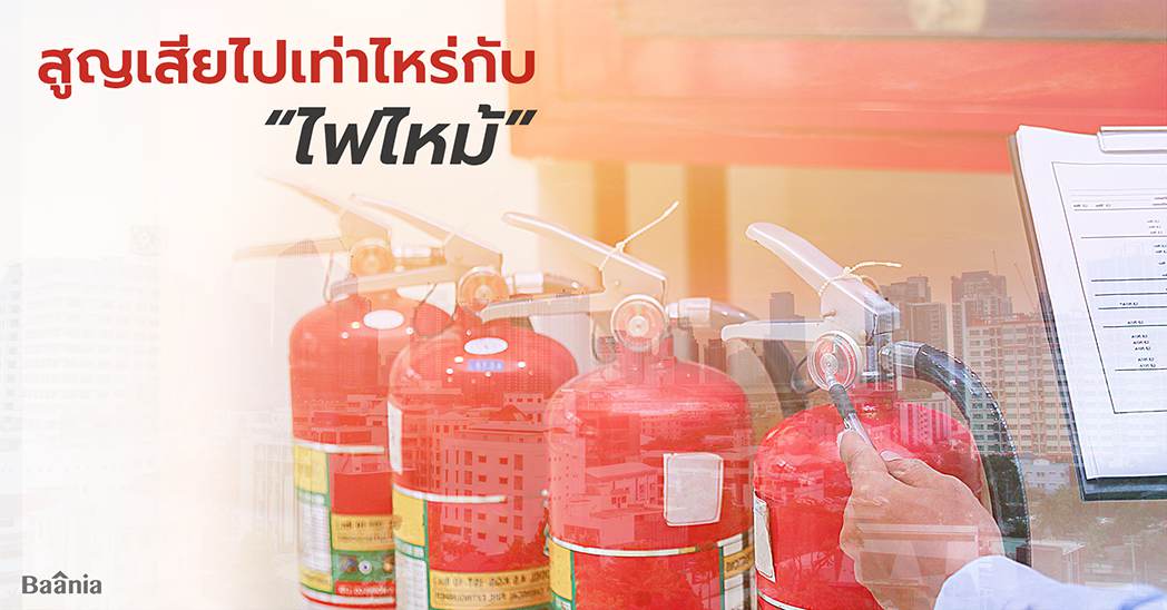 Trends & Data, ภาพหลัก