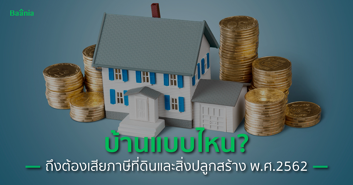 การลงทุนและกฎหมาย, ภาพหลัก