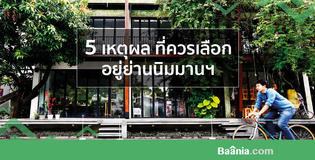 รีวิว, ภาพหลัก