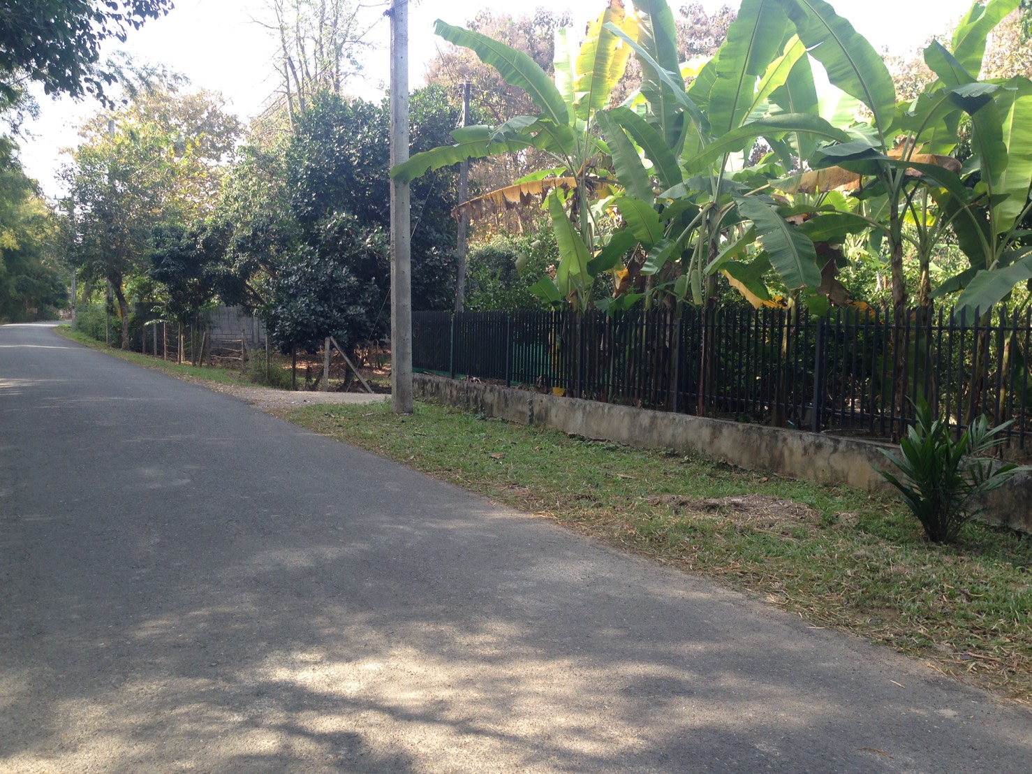 ขายที่ดิน ต. หนองควาย อ. หางดง จ. เชียงใหม่, ภาพที่ 4