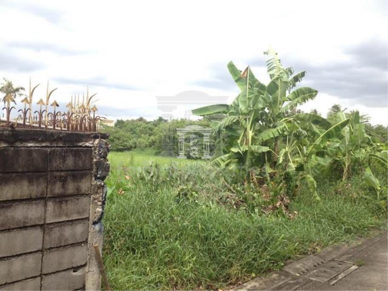 36635 - Sukhumvit 93 rd Land for sale plot size 4800 Sqm, ภาพที่ 4