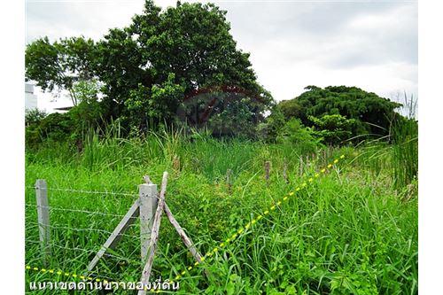 ขายที่ดิน เมืองสมุทรปราการ สมุทรปราการ, ภาพที่ 4