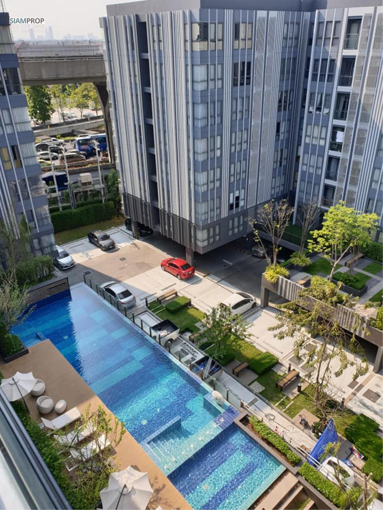 ให้เช่า คอนโด ในโครงการMoniiq Sukhumvit 64 แขวงบวรนิเวศ เขตพระนคร, ภาพที่ 4