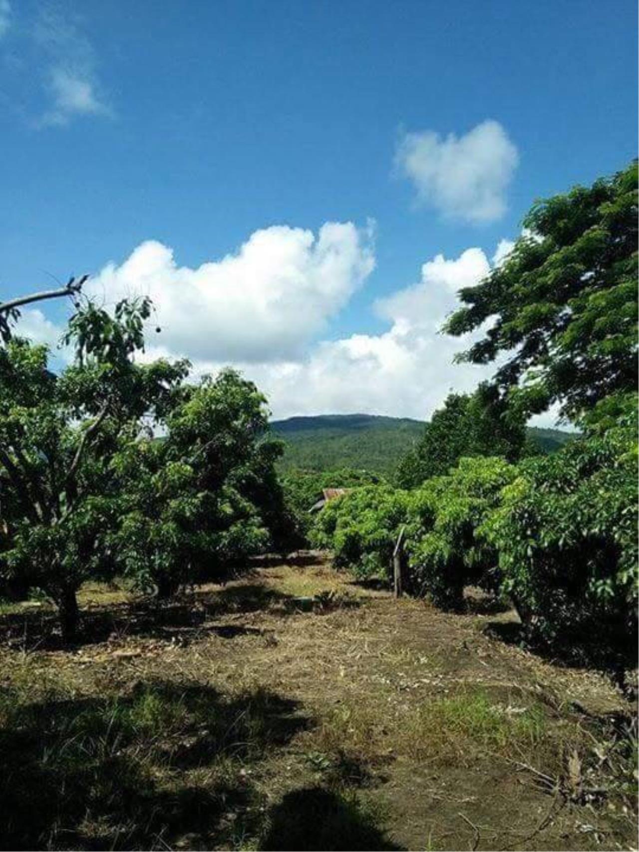 ขาย ที่ดิน ตำบลดอยแก้ว อำเภอจอมทอง จังหวัดเชียงใหม่, ภาพที่ 4