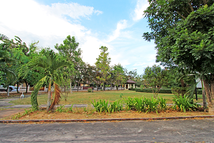 บ้านวินเพลส ศรีราชา - บรรยากาศ - 3