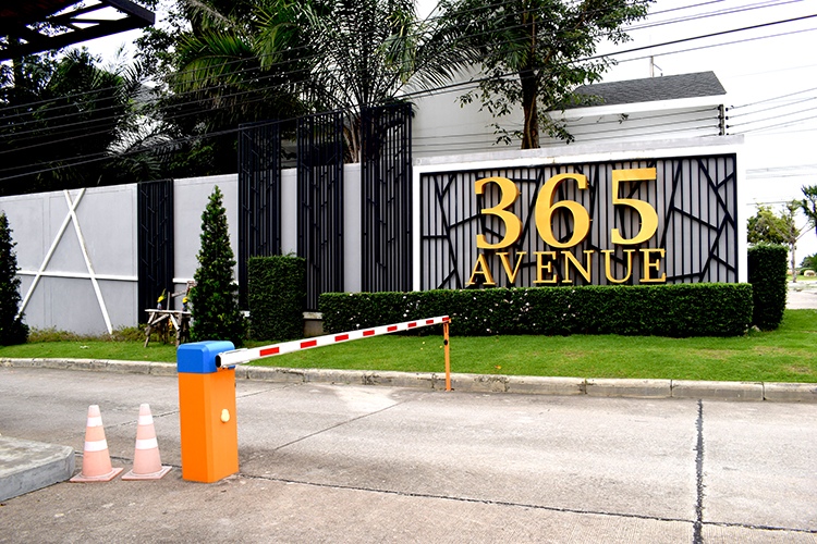 365 อเวนิว - บรรยากาศ - 3