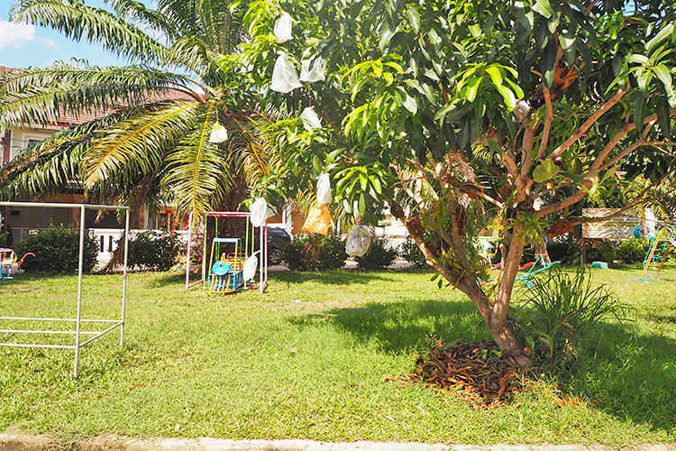 ชนกานต์ บ้านกลางเมือง - บรรยากาศ - 3