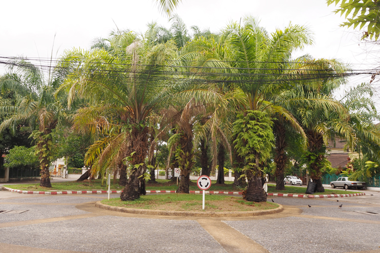 บ้านสีวลี 1 - บรรยากาศ - 3