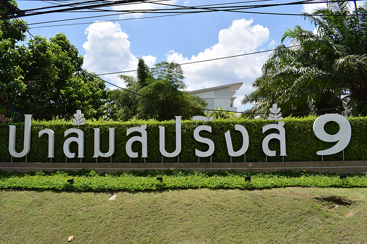 ปาล์มสปริงส์ 9 - บรรยากาศ - 3