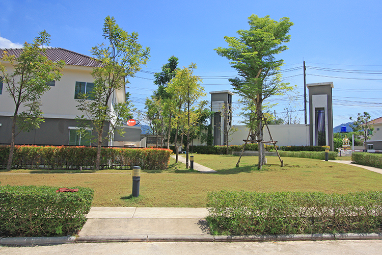 พฤกษาวิลล์ 58 ถลาง-ฮิลล์ไซด์ - บรรยากาศ - 3