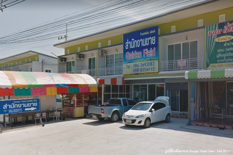 โกลด์เด้น ฟิลด์ - บรรยากาศ - 3