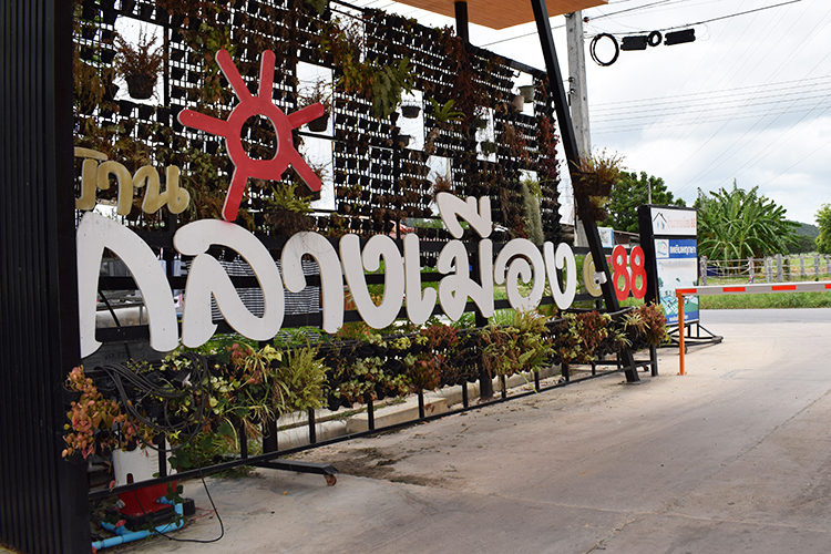 บ้านกลางเมือง 88 - บรรยากาศ - 3