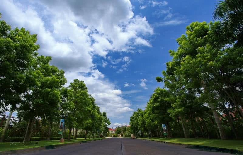 วรารมย์ เจริญเมือง - บรรยากาศ - 3