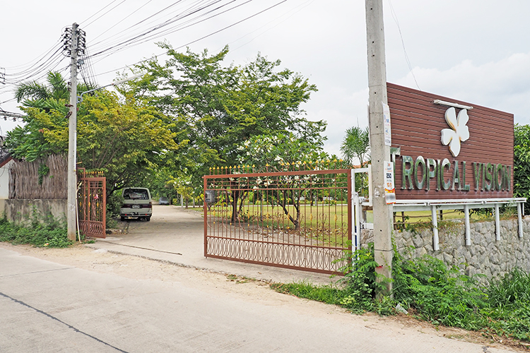 ทรอปิคอล วิชั่น - บรรยากาศ - 3