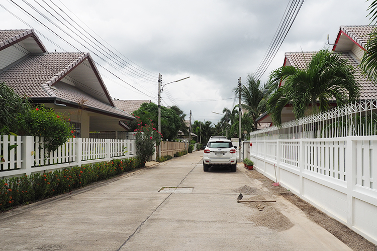 โคโคนัท โกรฟ - บรรยากาศ - 3