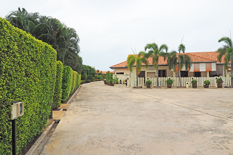 บ้านลิซา - บรรยากาศ - 3