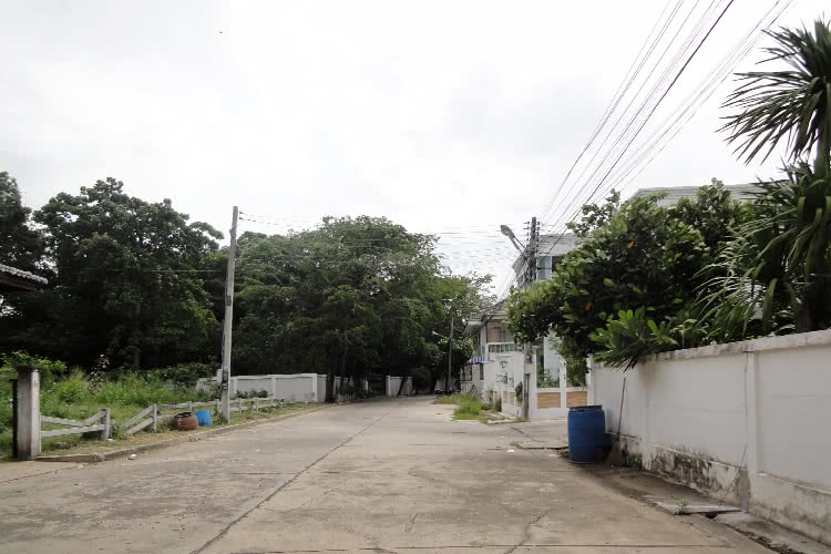 บ้านเพาวพรรณ - บรรยากาศ - 3