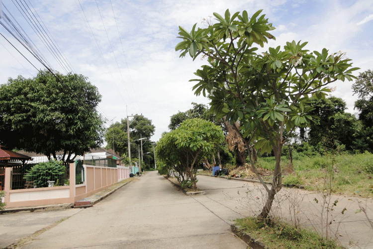 บ้านสมาพร - บรรยากาศ - 3