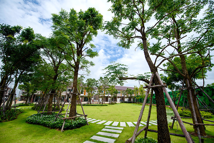 บ้านราชพฤกษ์ สุวรรณภูมิ-ลาดกระบัง เฟส 5 - บรรยากาศ - 3