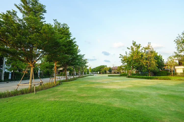 มัณฑนา ประชาอุทิศ 72 - บรรยากาศ - 3