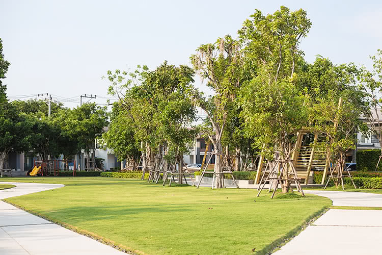 ฮาบิเทีย ชายน์ ท่าข้าม-พระราม2 - บรรยากาศ - 3