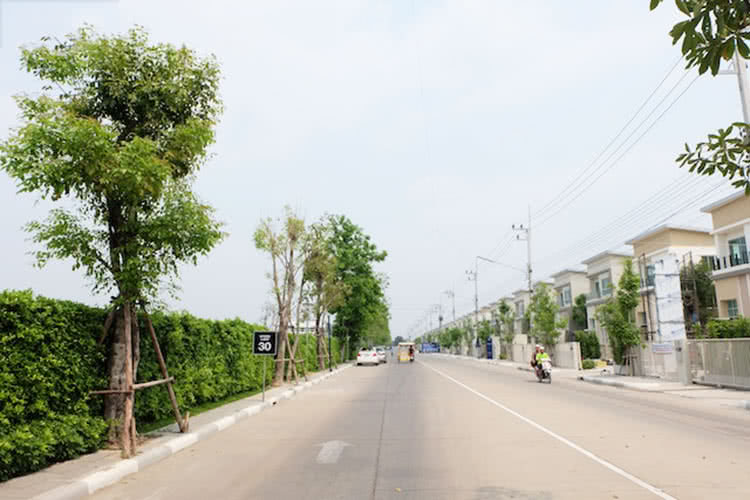 รังสิต บิซ พาร์ค - บรรยากาศ - 3