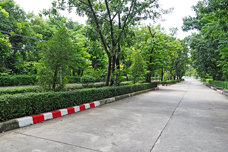 เสนาแกรนด์โฮม ติวานนท์-รังสิต - บรรยากาศ - 3