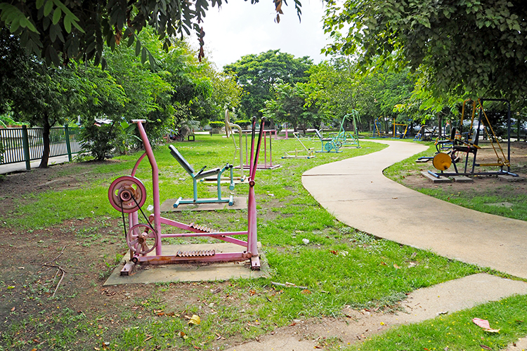บ้านพฤกษา 13 รังสิต คลอง 3 - บรรยากาศ - 3