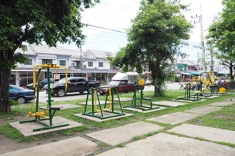บ้านพฤกษา 40 รังสิต คลอง 3 - บรรยากาศ - 3