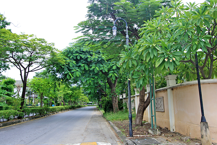 บ้านพิมาน ปิ่นเกล้า - บรรยากาศ - 3