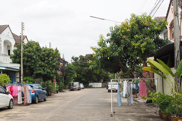 บ้านฟ้ารังสิต คลอง 4 - บรรยากาศ - 3