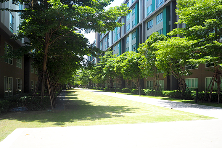 ให้เช่าคอนโด ในโครงการ ดี คอนโด สุขุมวิท 109 ต. สำโรงเหนือ อ. จ., ภาพที่ 4