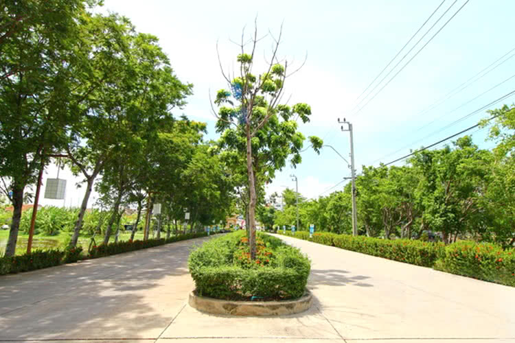 บ้านปัญฐิญา แพรกษา - บรรยากาศ - 3